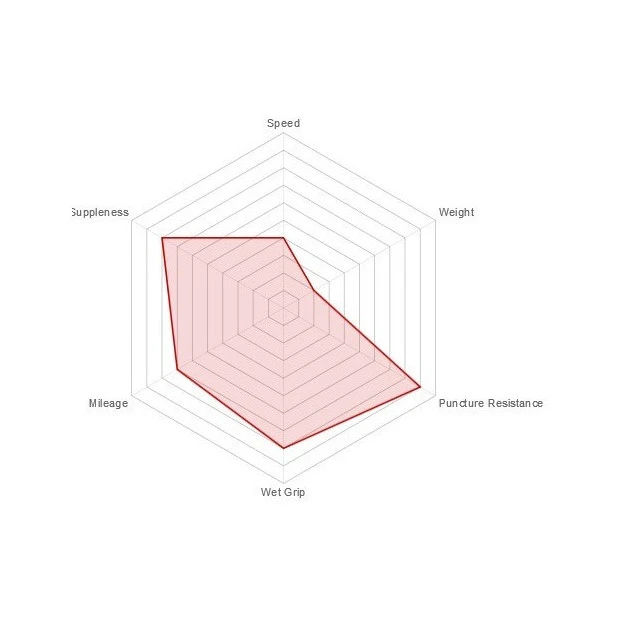 Boyau Vittoria Rally Kevlar 700x23C Noir/Beige – Image 3