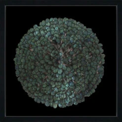 Castorama Vitrine Plumes 60 X 60 Cm